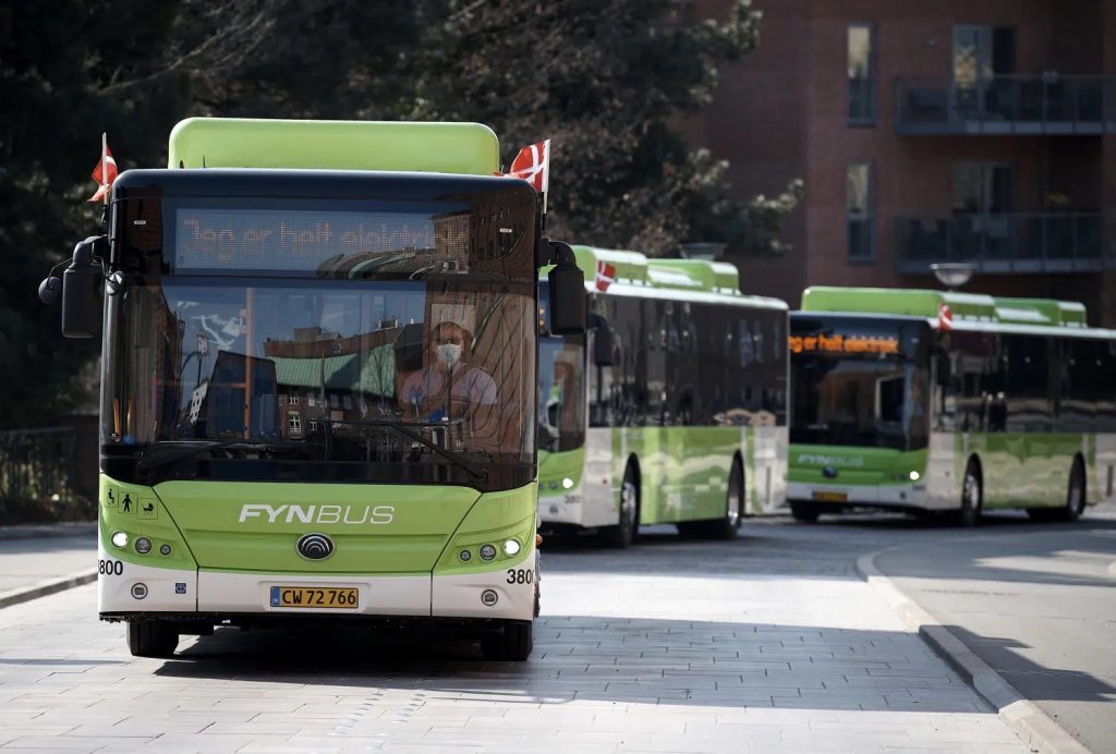 Fynbus