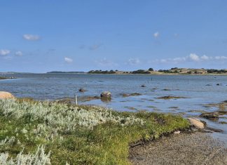 Engang kunne man både bade og fange fisk i Lillestrand. Nu ligger krabberne på ryggen Lillestrand