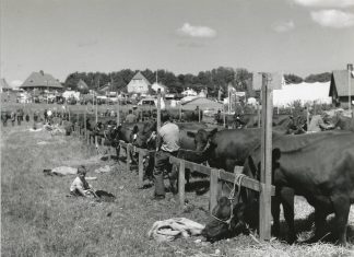Gadenavne: Gamle embedsjorder nord for byen blev til Præstevejene Mølkensvej, sØ for, dyrskuepladsen på kirkemarken, beg. 1960erne b374