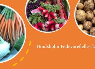 Fødevarefællesskab sætter fokus på fordele ved fermentering Hindsholm fødevareselskab