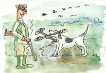 Tegning af Ole Vedby: Fasaner og ænder aflastes af droner Img661
