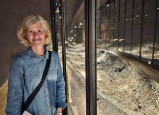 Ny bog om alle tiders vikingefund og en insisterende apoteker 20250811 104811 (1)