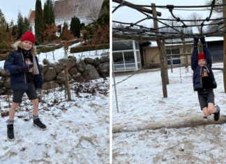 10-årige går i shorts året rundt – også i sne og frost Laurits Jensen i sneen