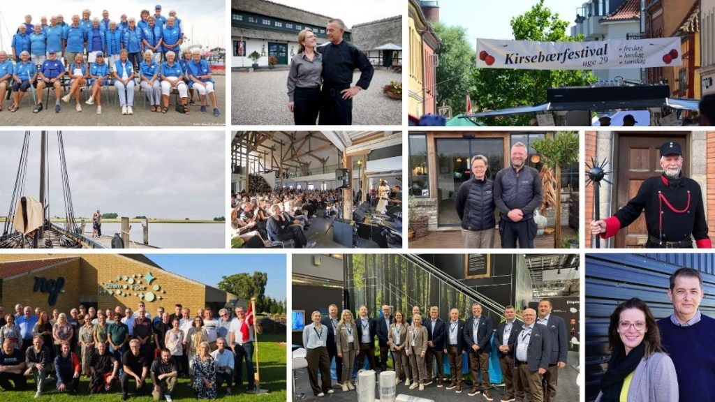 Colage Mosaik med finalister 2024 rfk5daokfvgz7lldeo0hvk4dt3fszfl5nd53858yo0