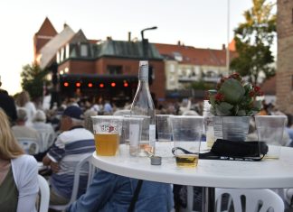 Sundhedsprofil: Flere overvægtige og mere stress i Kerteminde Alkohol og mennesker genre red