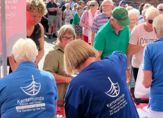 Turisterne vender blikket mod Kerteminde Turismens Venner Kirsebaerfestival scaled turister