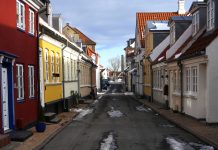 Nye fællesskaber spirer i Munkebo og Mesinge Ensom ii