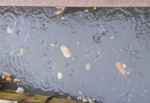 Nu skal der ske noget: Politikere presser på efter kloakoverløb Screenshot