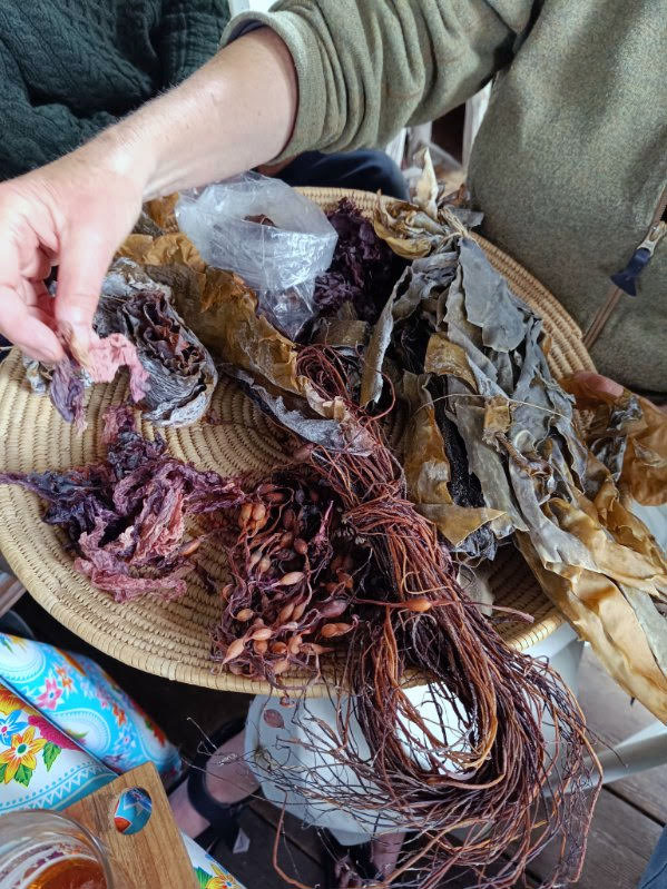 Sankedag gabet 05062025