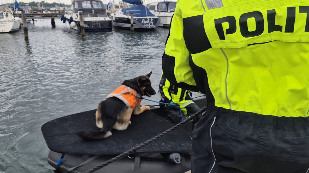 Vandsøgshund politi Marinaen