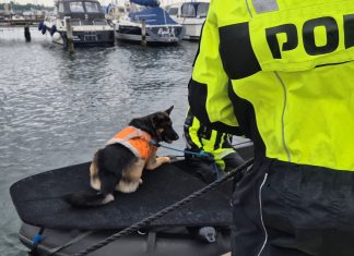 Politihunde ledte efter lig i Kerteminde Havn – men det var kun en øvelse Vandsøgshund politi Marinaen