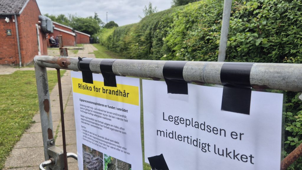 Egeprocessionspinder DUI Leg og Virke Munkebo