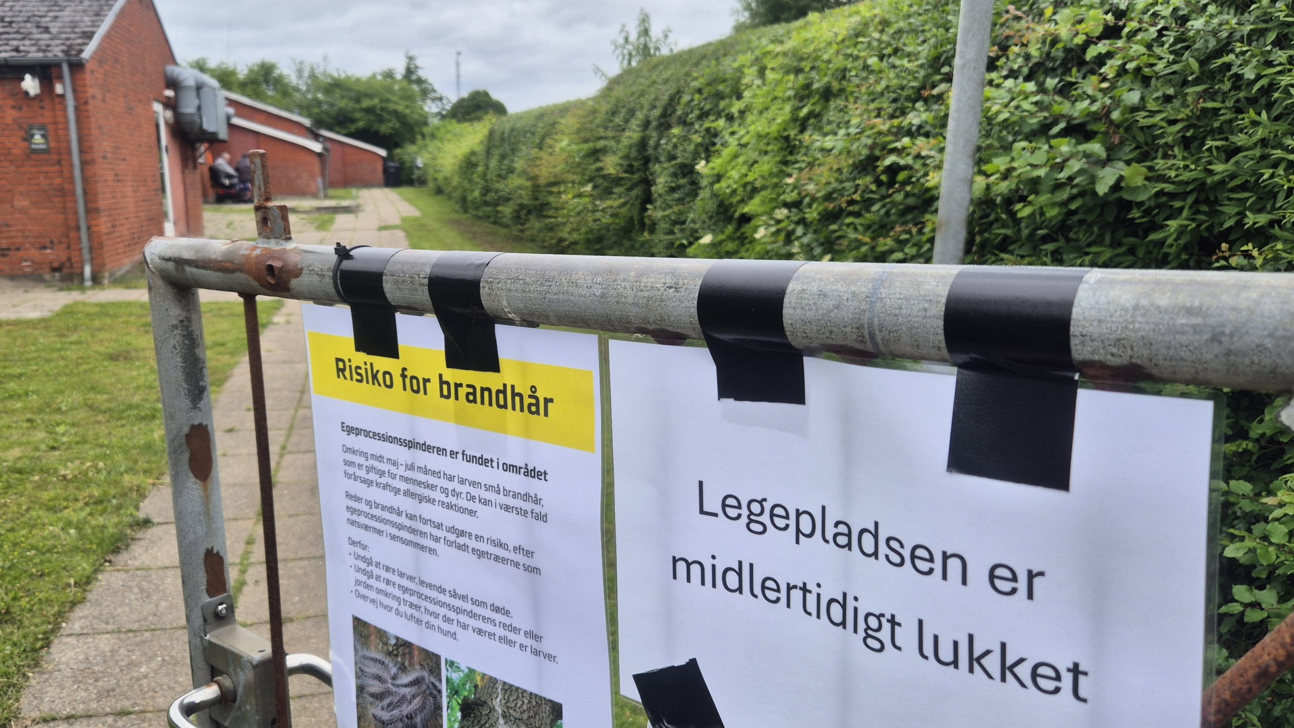 Egeprocessionspinder DUI Leg og Virke Munkebo