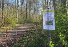 Egeprocessionsspindere fundet i to private haver i Kerteminde Egeprocessionsspinder Skilt