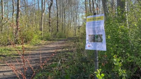 Egeprocessionsspinder Skilt