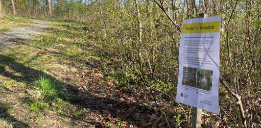 Egeprocessionsspinder i Munkebo skilt