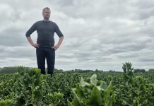 Ingen salg i Sørens økologiske blomster. Nu overvejer han at dyrke økologisk spinat Søren Lykkegaard i sin spinatmark
