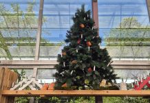 Jul i juli hos Billigblomst i Langeskov Billigblomst Langeskov (4)