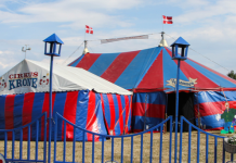 Cirkus på campingpladsen Cirkus Krone