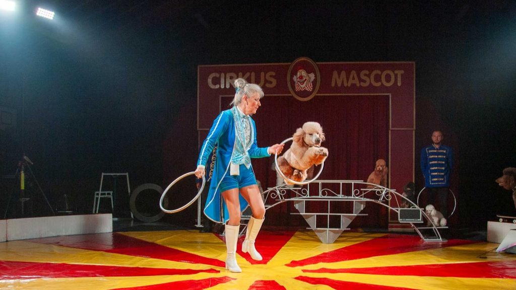 Cirkus Mascot