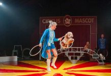 Cirkus Mascot kommer til Langeskov og Kerteminde Cirkus Mascot