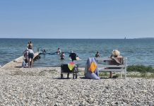 Den hvide bænk er tilbage på Nordstranden Den hvide bænk, Nordstranden