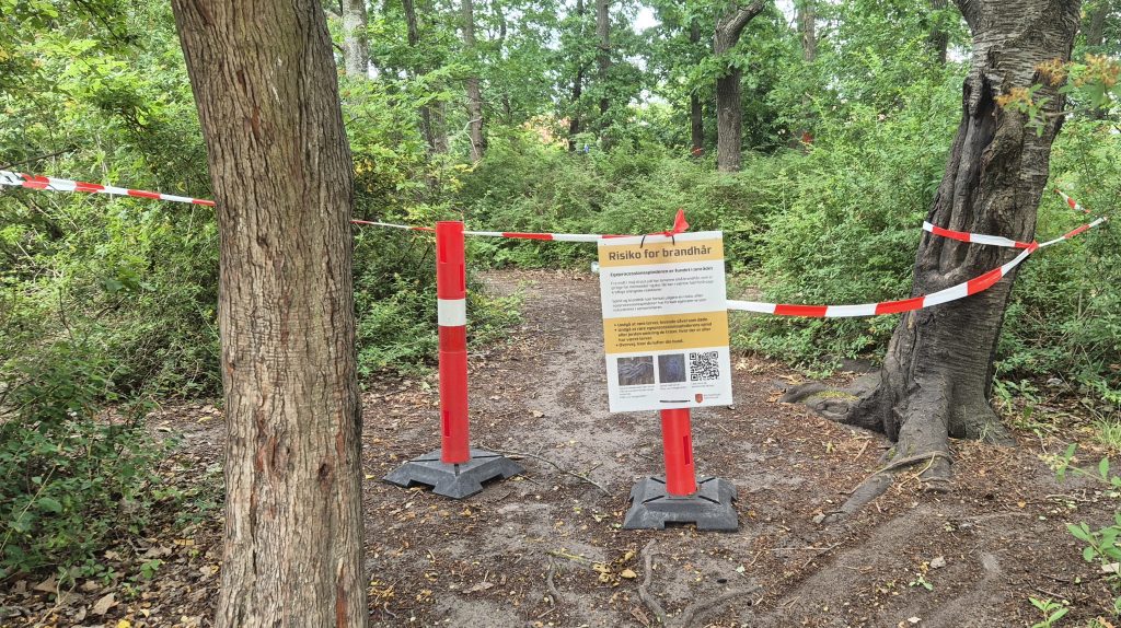 Egeprocessionsspinder Munekbo Skole (3)