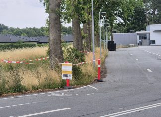 Larverne er væk og snart fjernes afspærringerne Egeprocessionsspinder afspærring Marslev Skole