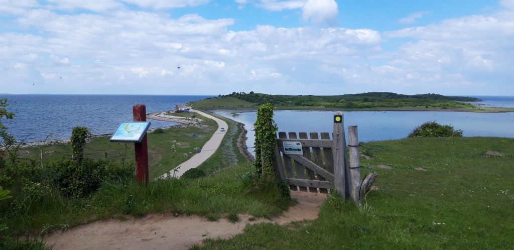 Fyns Hoved, natursti (1)