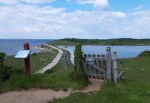 Millionbevilling til nyt stiforløb gennem Hindsholms natur Fyns Hoved, natursti (1)