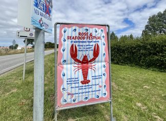 Rosé- og skaldyrsfestival kommer til Kerteminde IMG