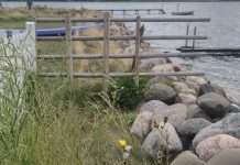 Afspærring af sti ved fjorden skal fjernes senest 31. august Spærret sti ved Longsvej