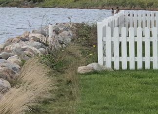 Sti ved fjorden atter åben for offentlig trafik Sti ved Longsvej