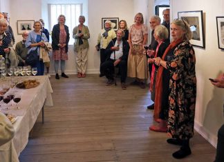 Anmeldelse: Kunstforening viser med ny udstilling at både den og Toldboden stadig lever STLL (8)